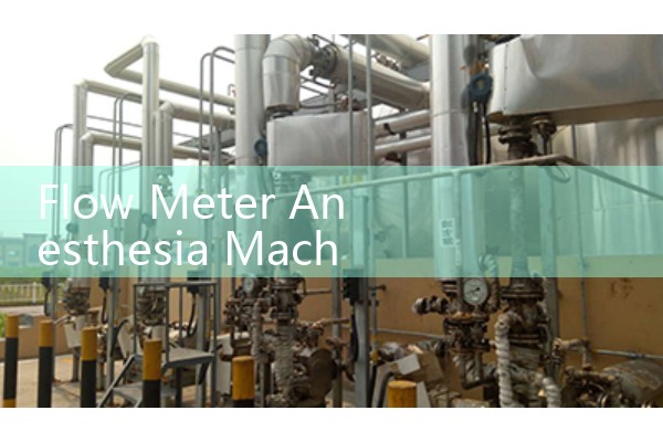 Flow Meter Anesthesia Machine: Clinical safety standards for medical gas delivery.